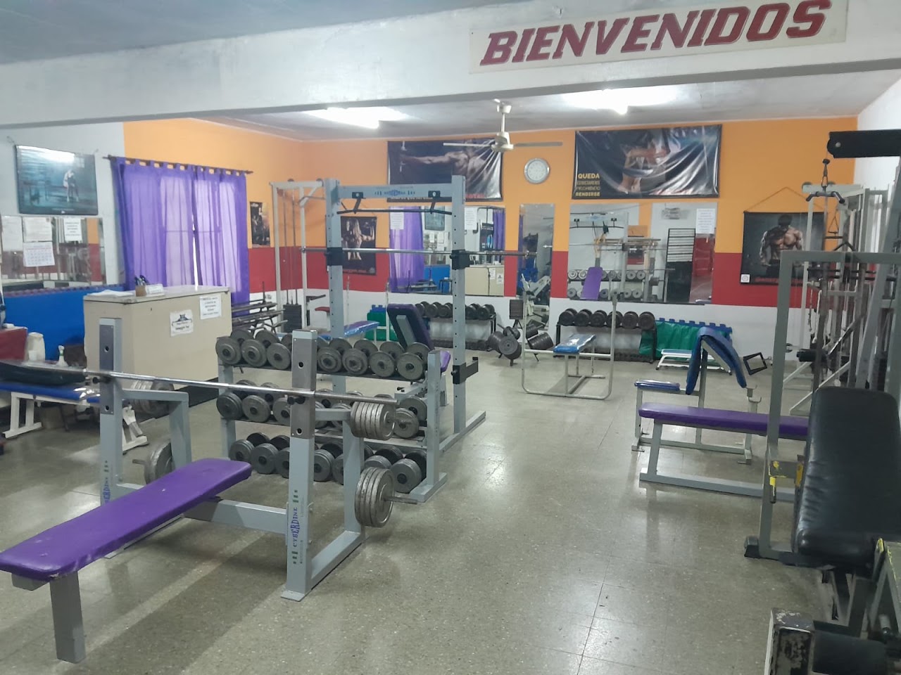Área Principal y Bienvenida