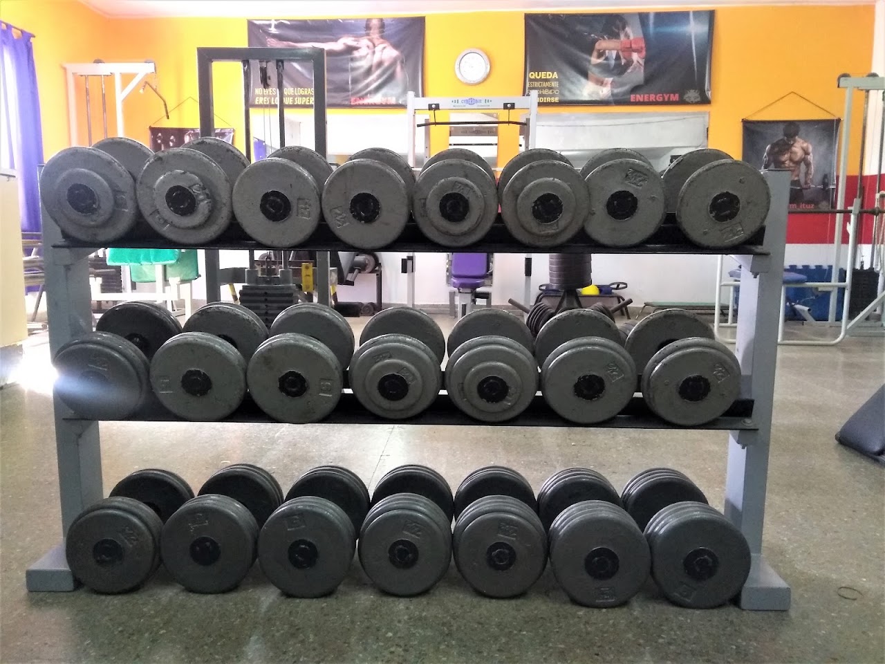 Sector de Musculación y Peso Libre
